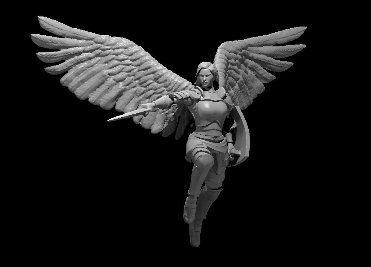 Aasimar Paladins