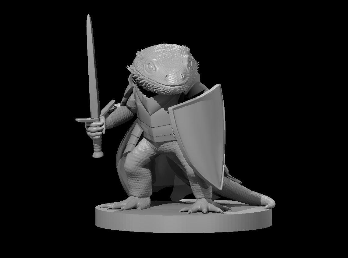 Dragonborn Fighters