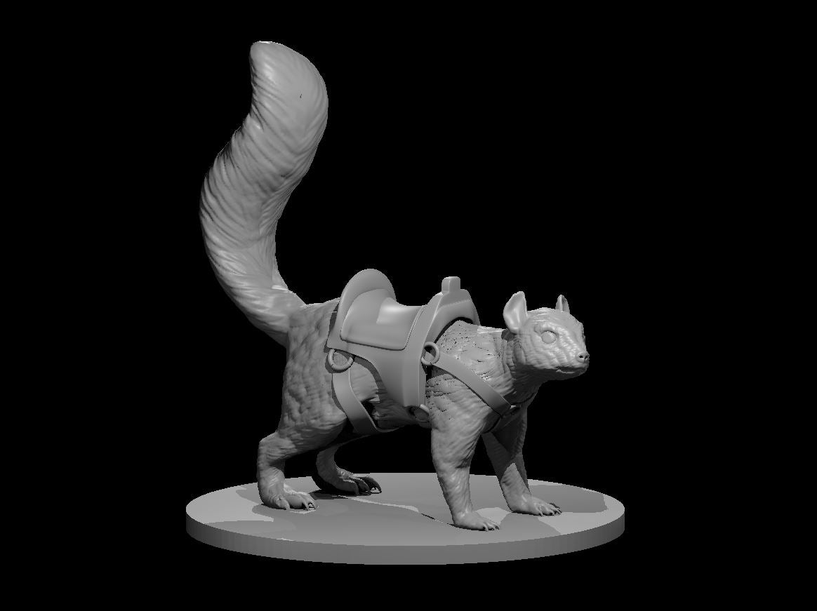 Dire Squirrel