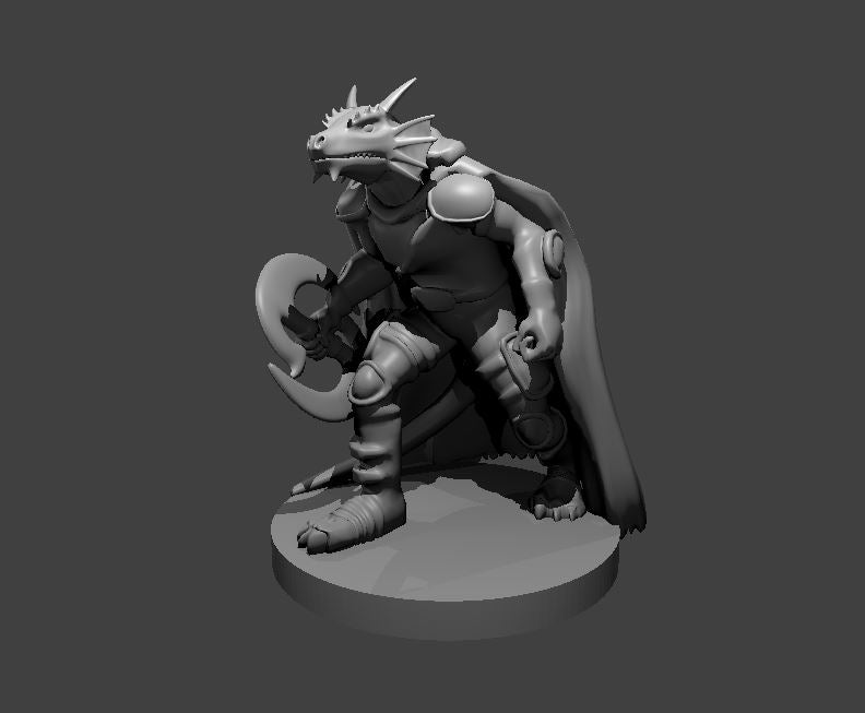 Dragonborn Fighters