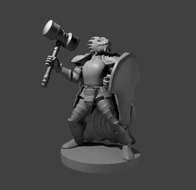 Dragonborn Fighters