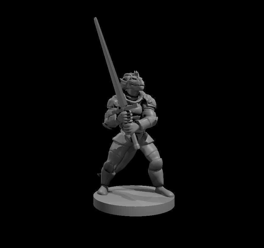 Dragonborn Fighters