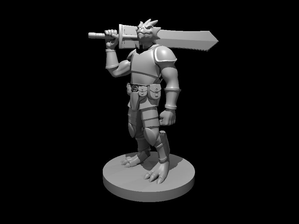 Dragonborn Fighters