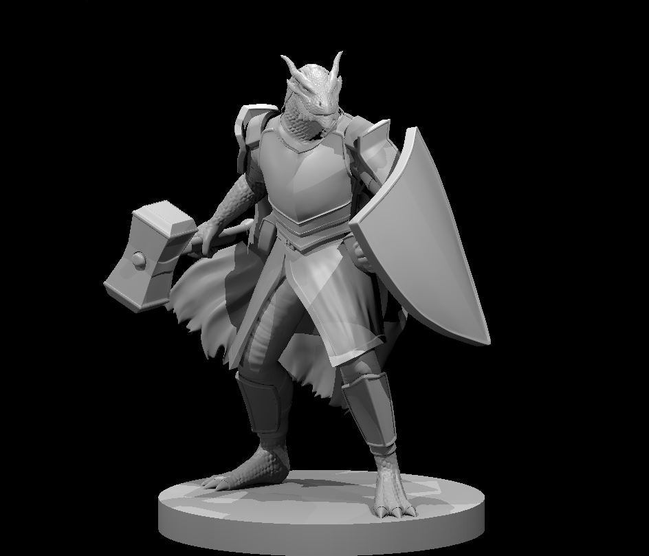 Dragonborn Paladins