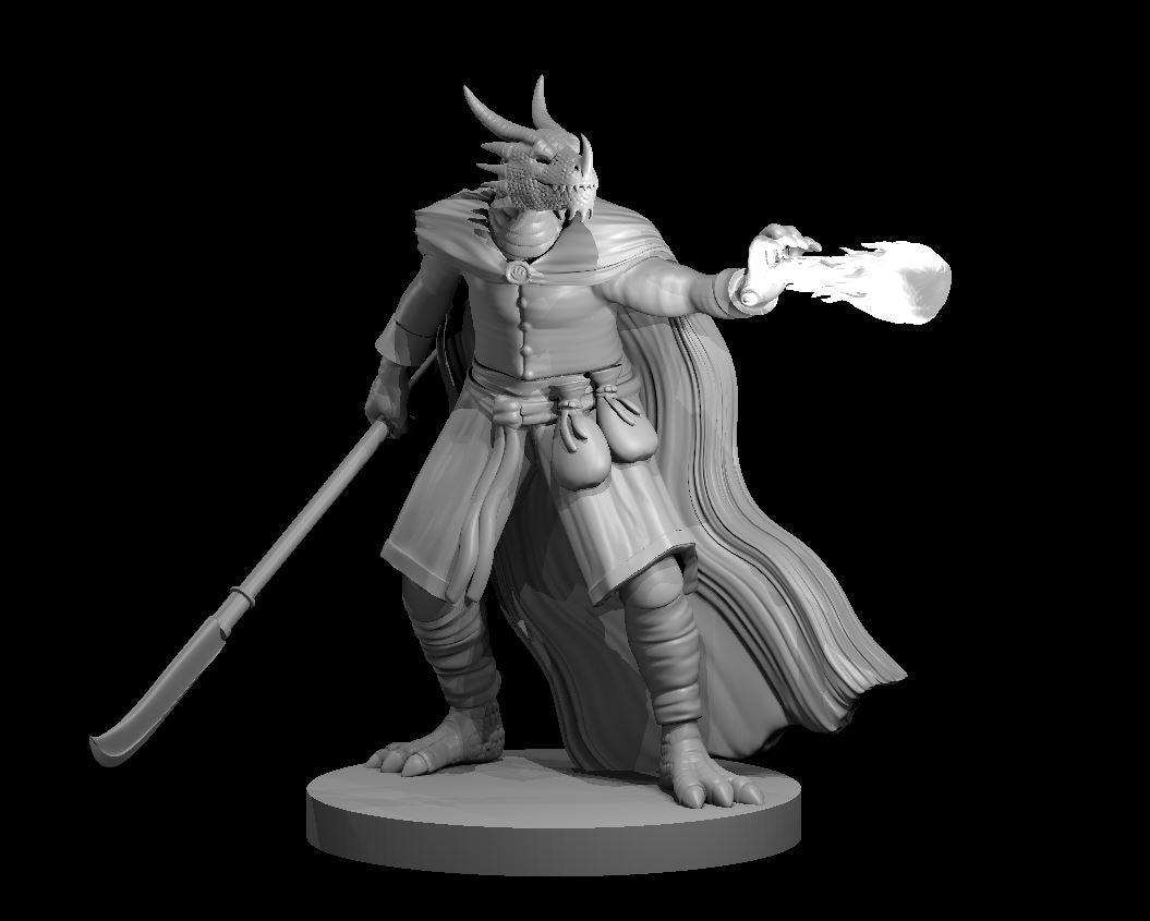 Dragonborn Sorcerer