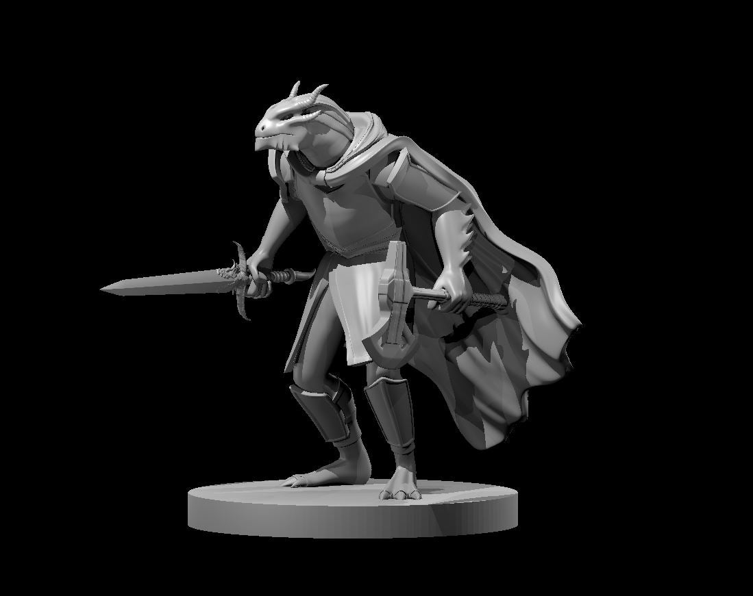 Dragonborn Fighters