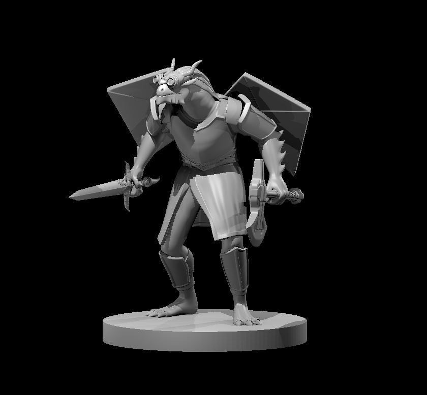 Dragonborn Fighters