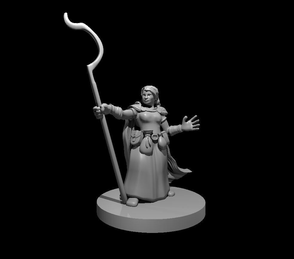 Dwarf Druid