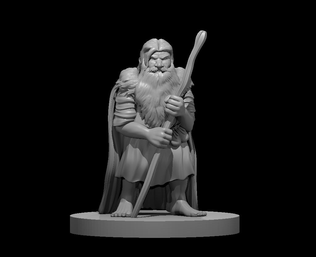 Dwarf Druid