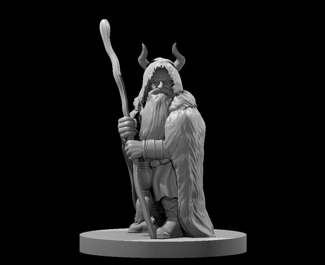 Dwarf Druid
