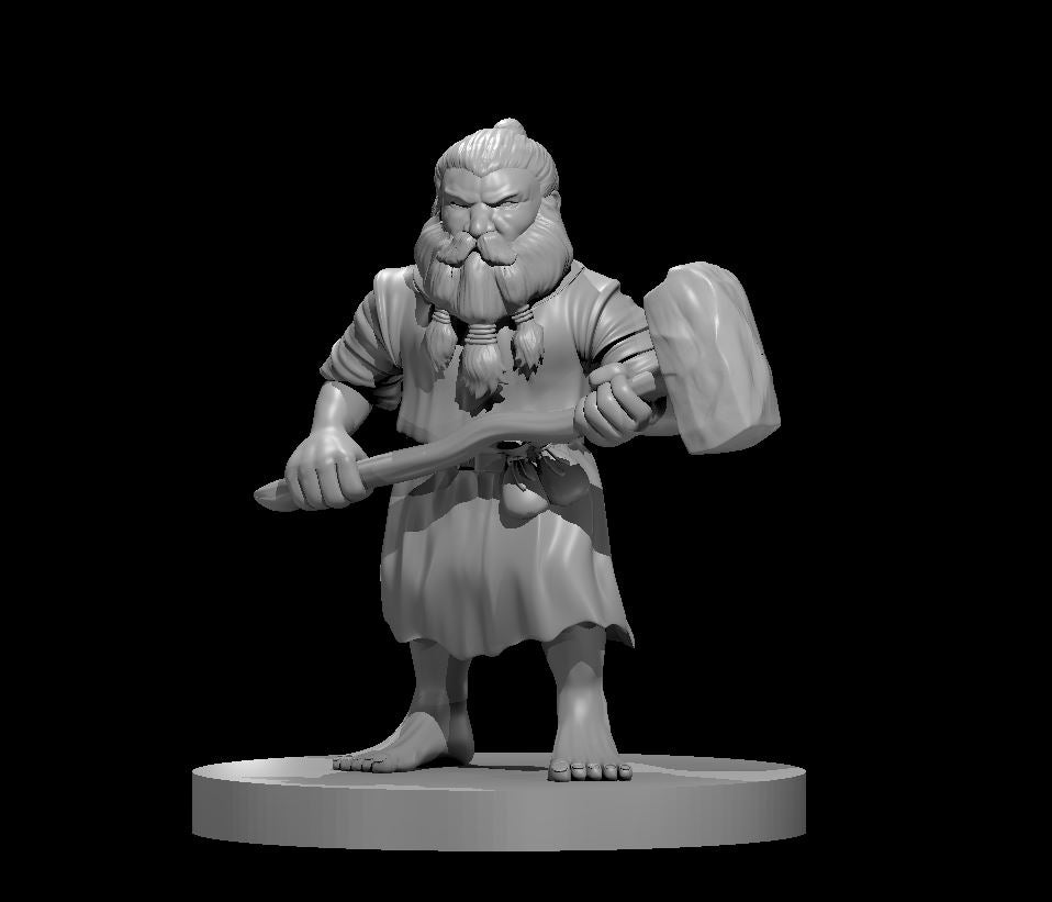 Dwarf Druid