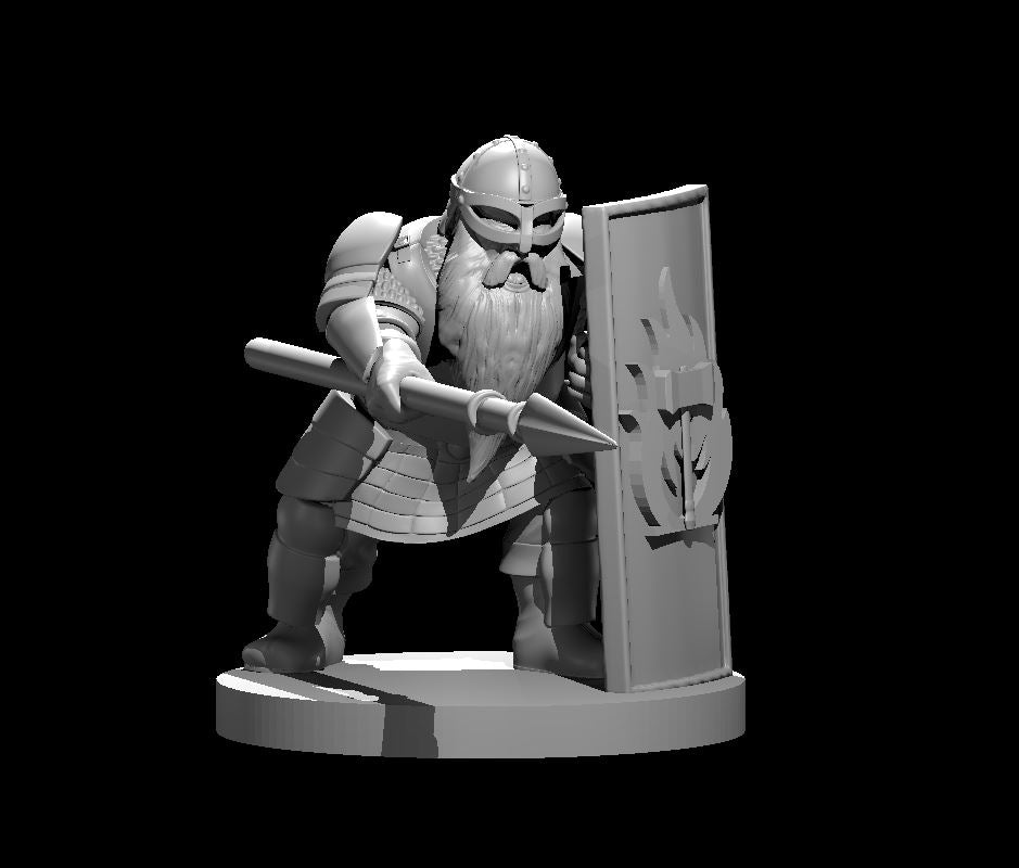Dwarf Fighter