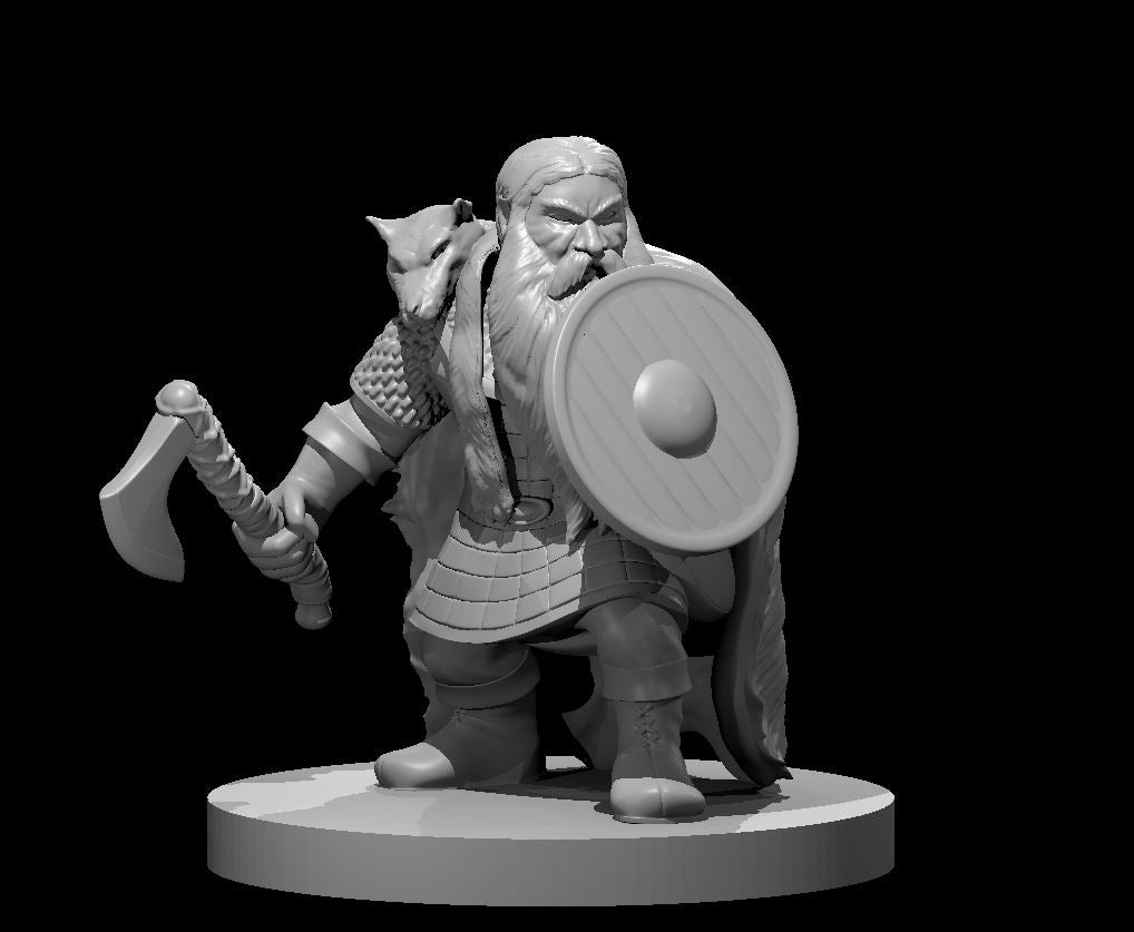 Dwarf Fighter