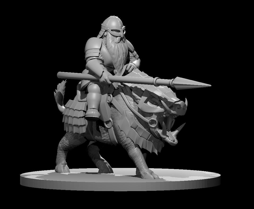 Dwarf Fighter