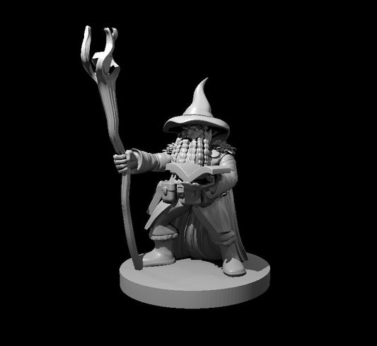 Dwarf Wizards