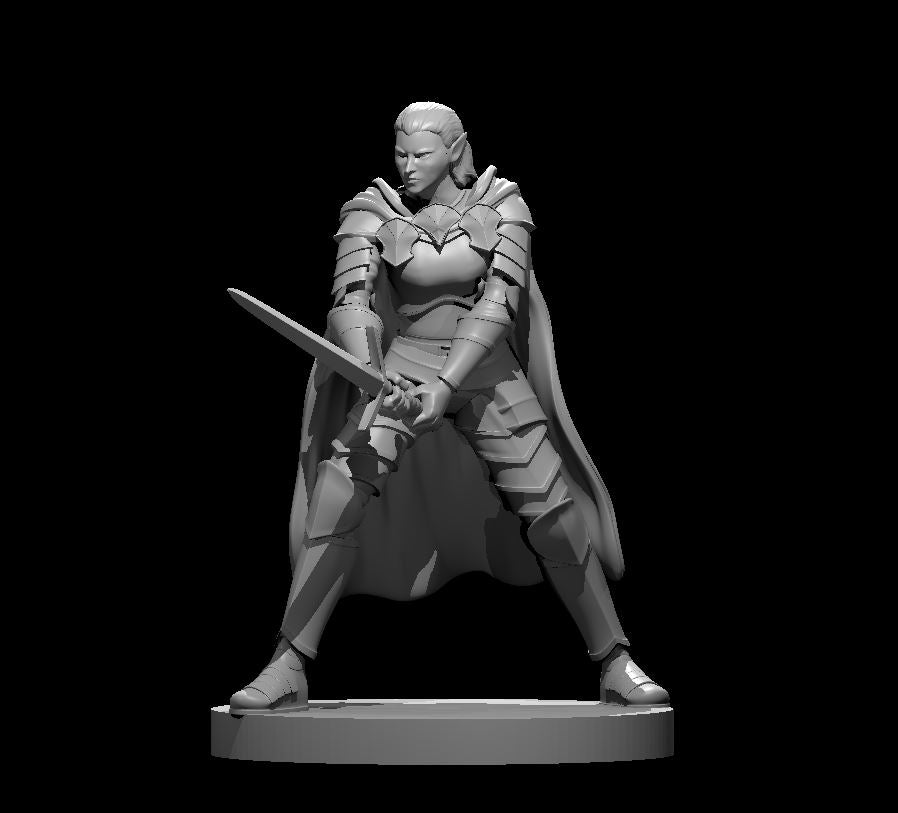 Elven Paladins