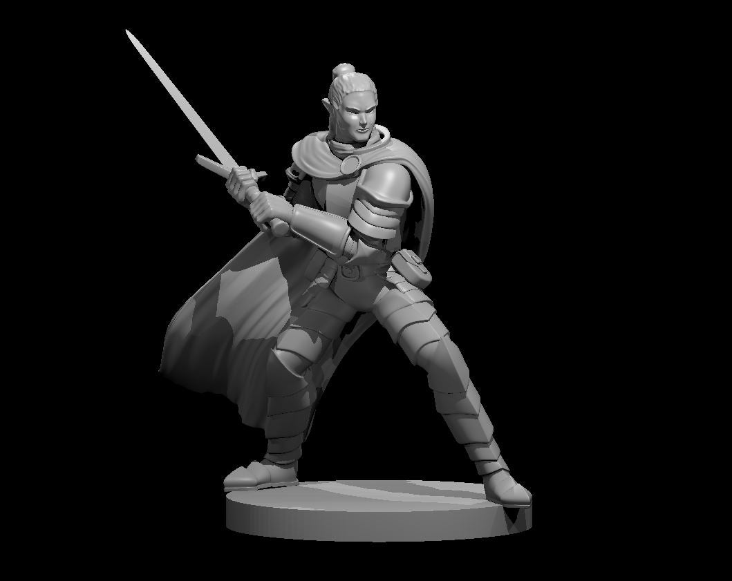Elven Paladins