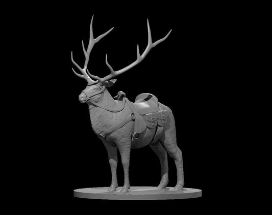 Elk
