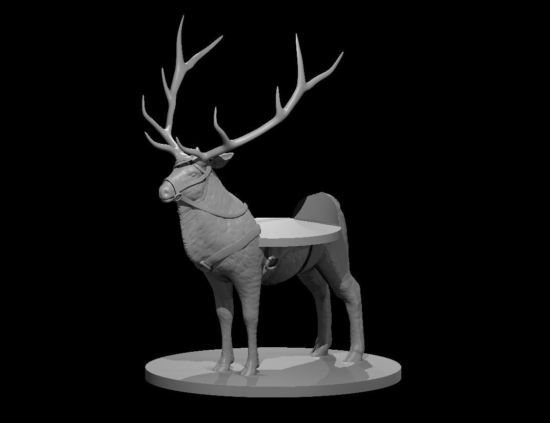 Elk