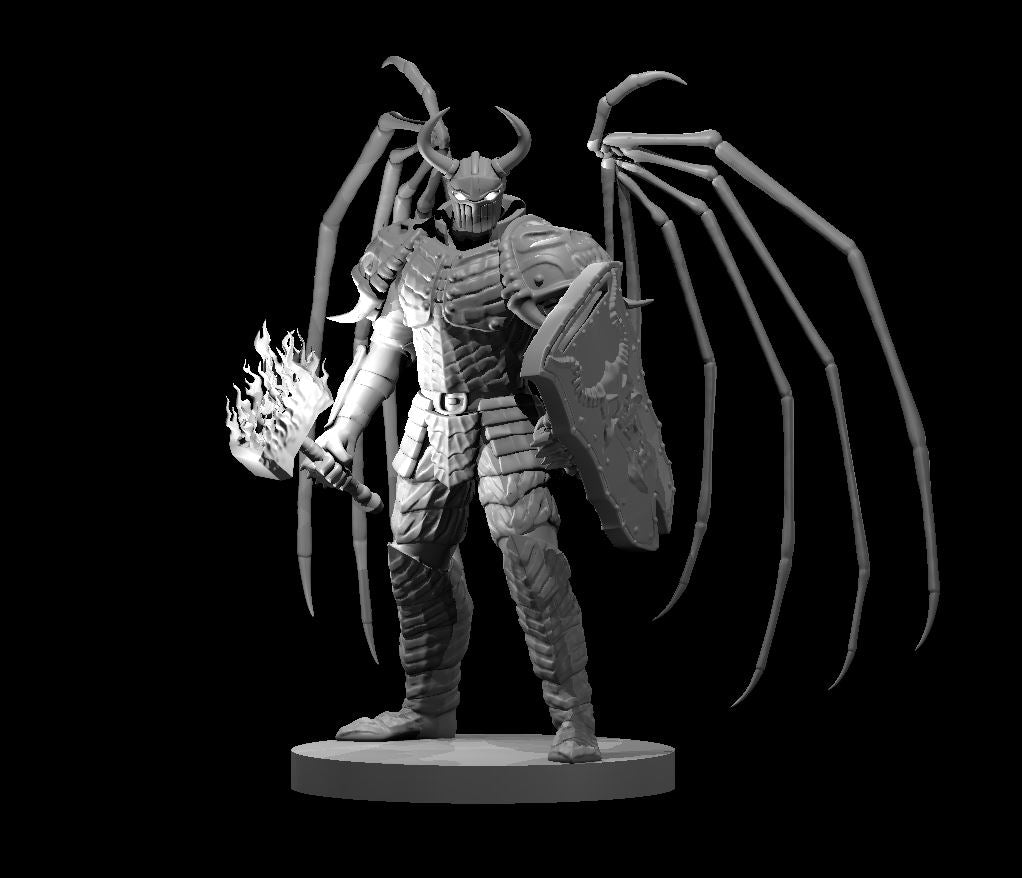 Aasimar Paladins