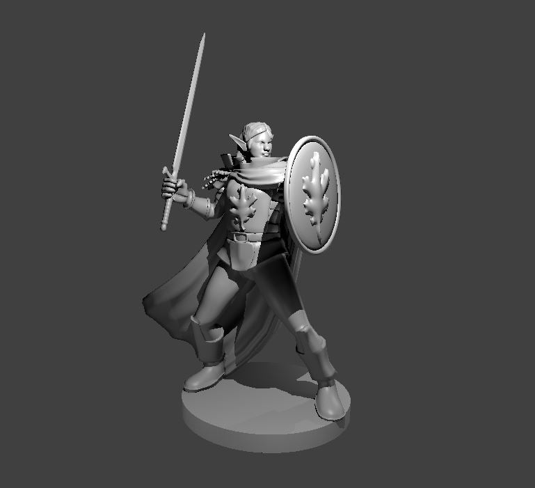 Female Firbolg Paladin