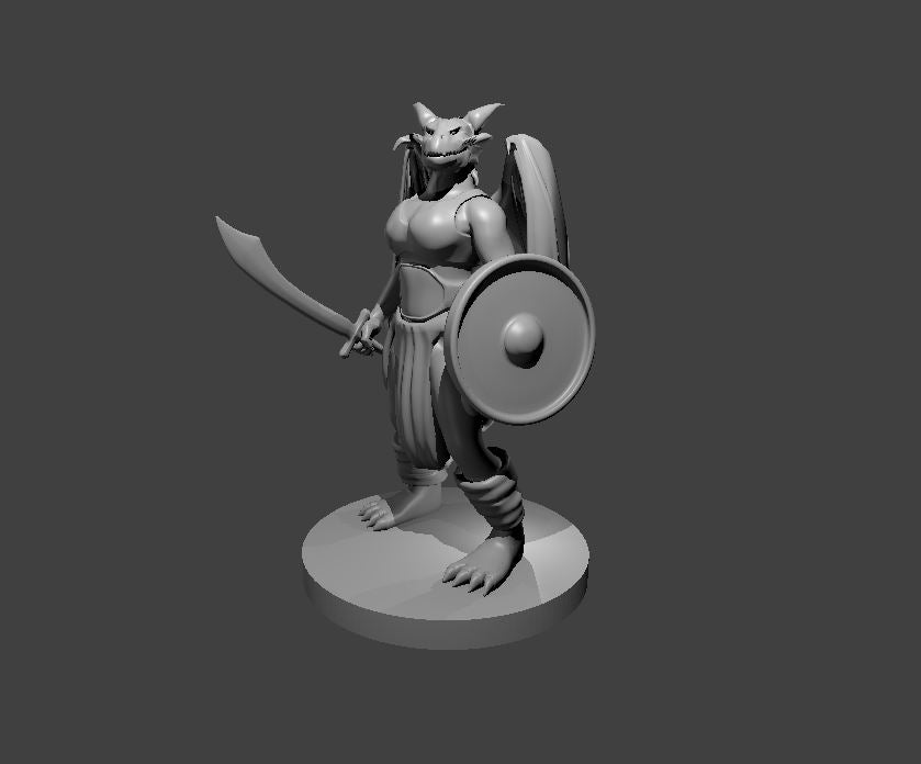 Dragonborn Druid