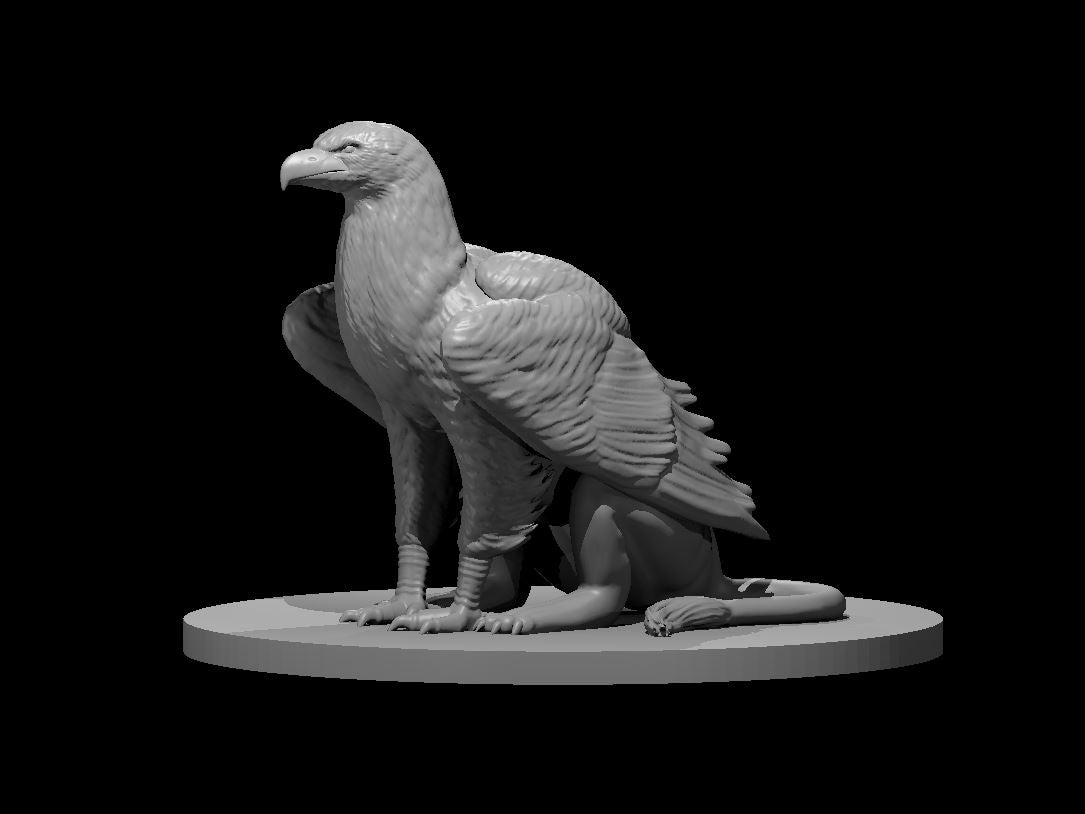 Griffon