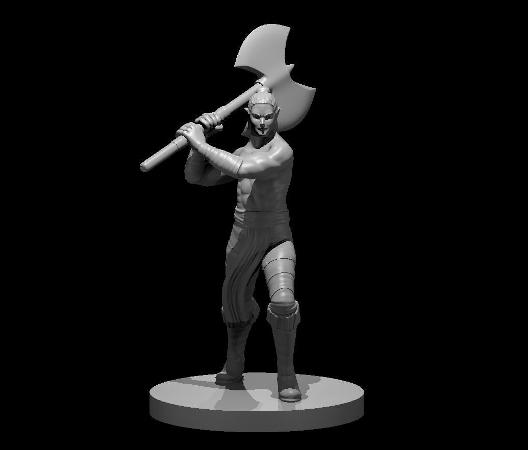 Elven Barbarian