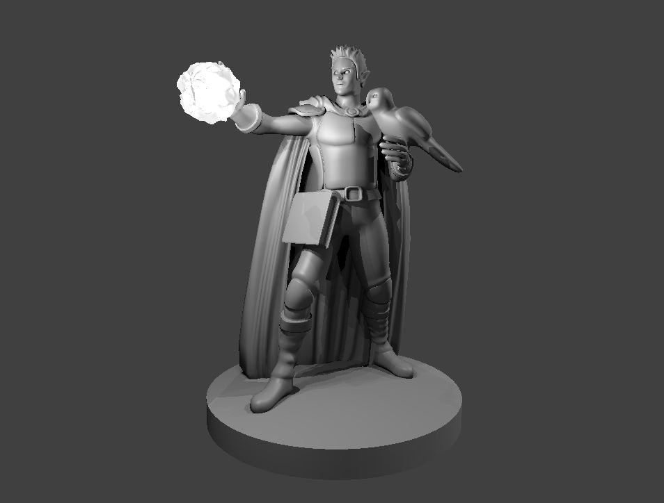 Elf Warlocks