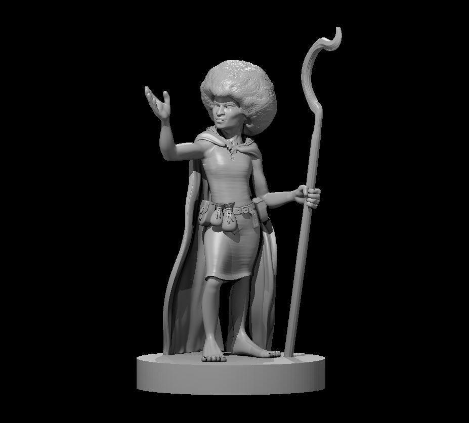 Halfling Druid