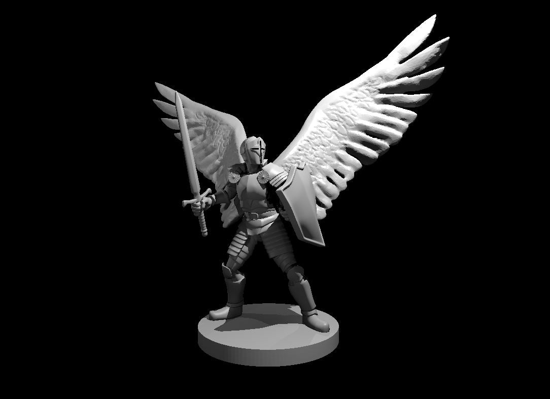 Aasimar Paladins