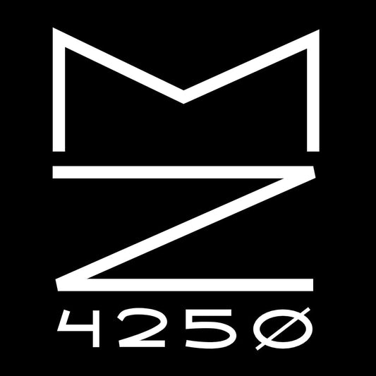 Half Elf Male Artificer