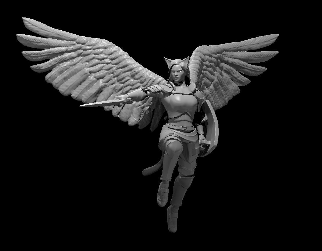 Aasimar Paladins