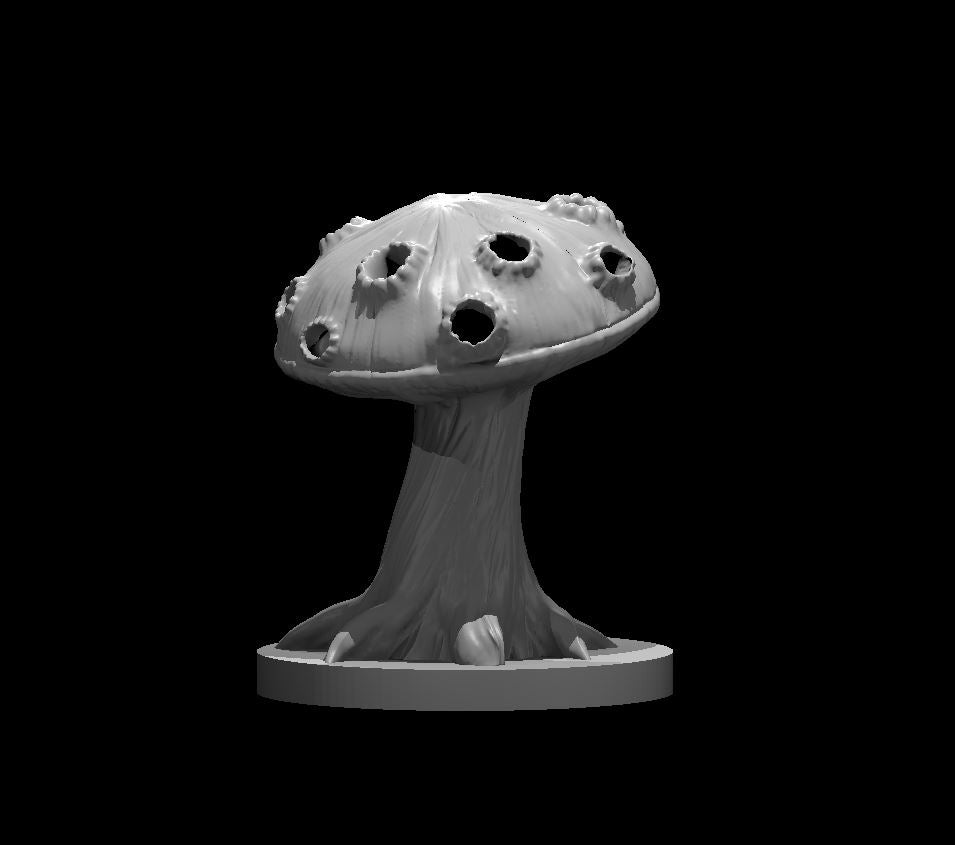 Fungi