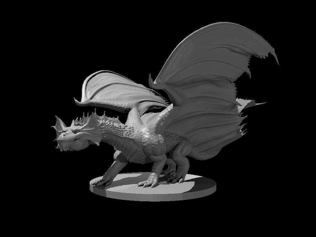 Brass Dragon