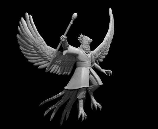 Aarakocra