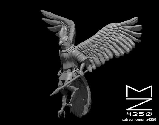 Aarakocra Druid