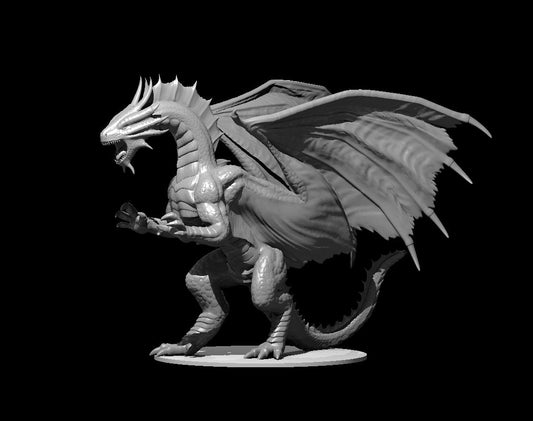 Bronze Dragon