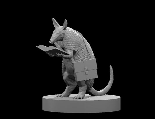 Armadillo Wizard