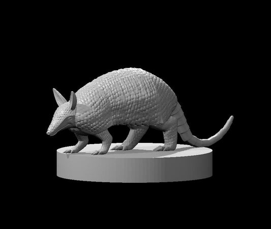 Armadillo