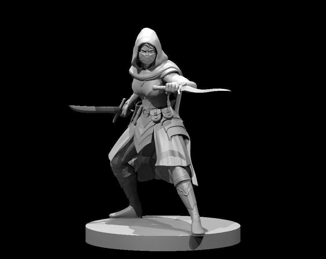Assassin