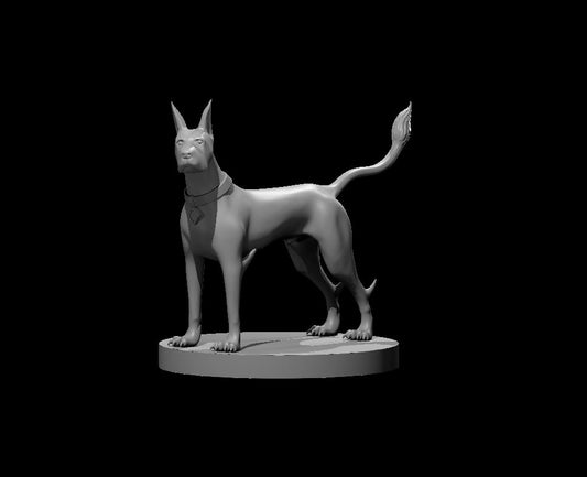 Blink Dog