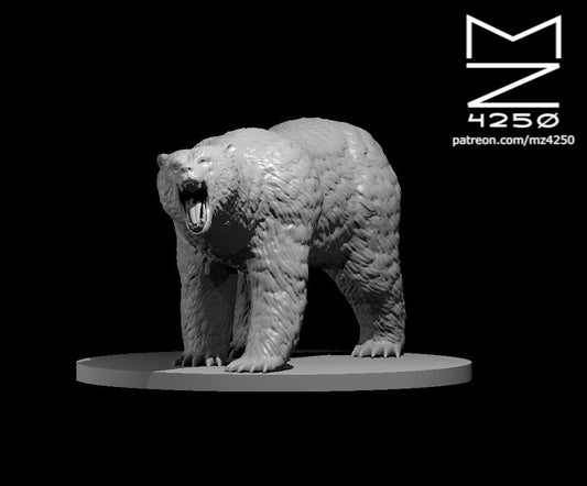 Brown Bear