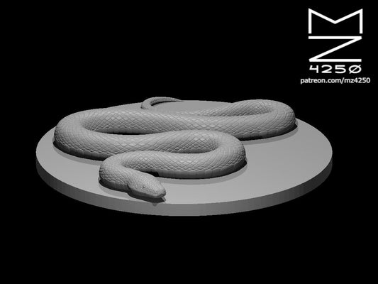 Constrictor Snake