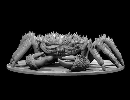 Crab