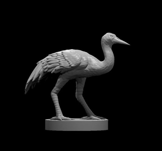 Crane