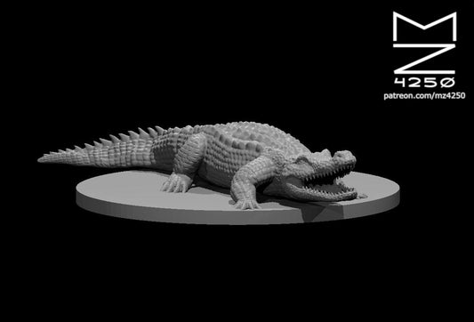 Crocodile