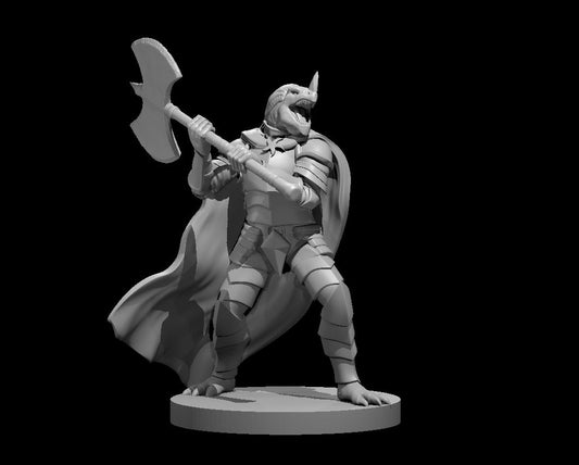 Dragonborn Paladins