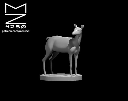 Deer