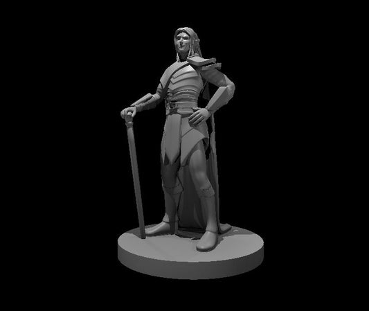 Dhampir Adventurer